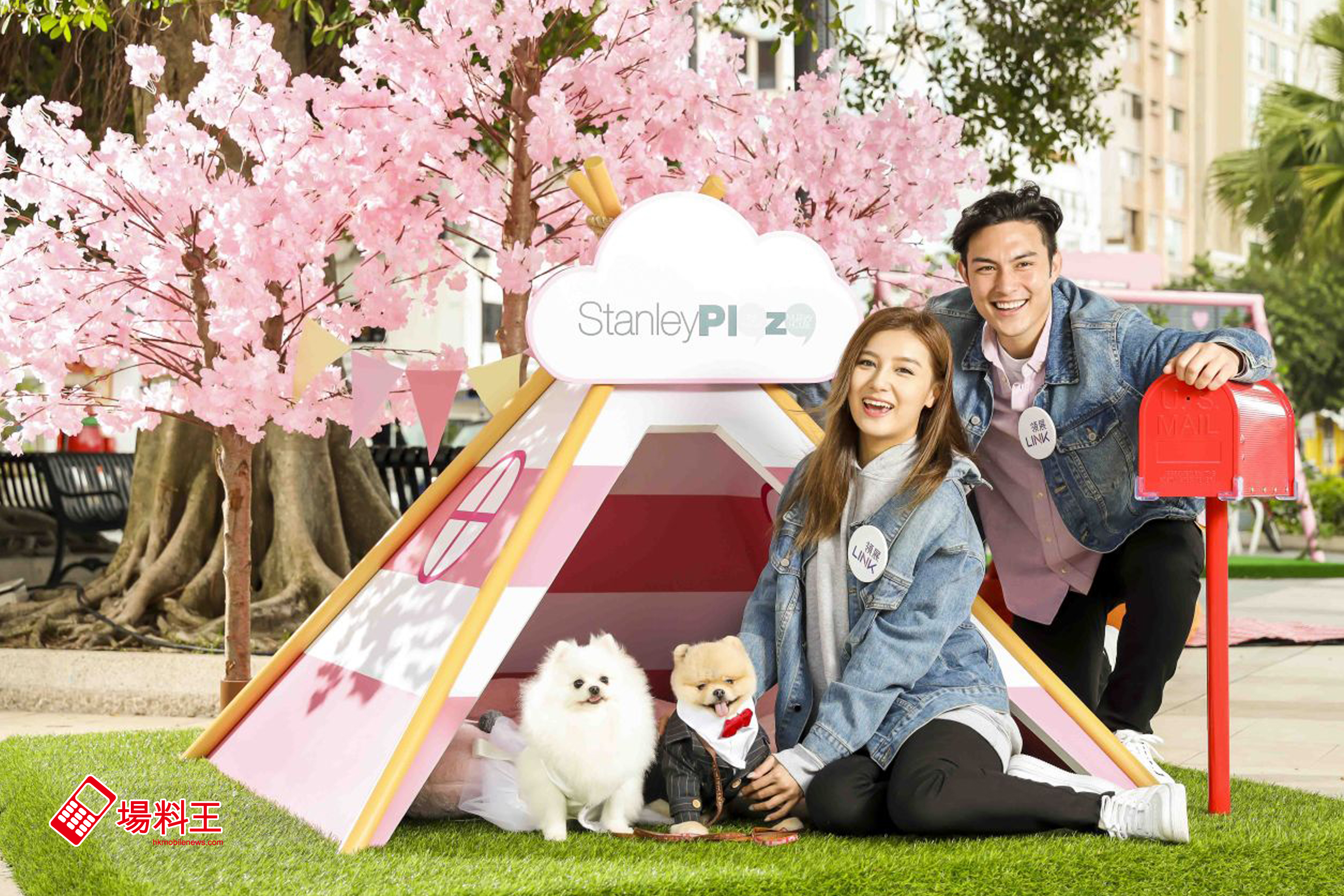 「犬」愛方程式：323 赤柱廣場狗狗活動多多 Fun